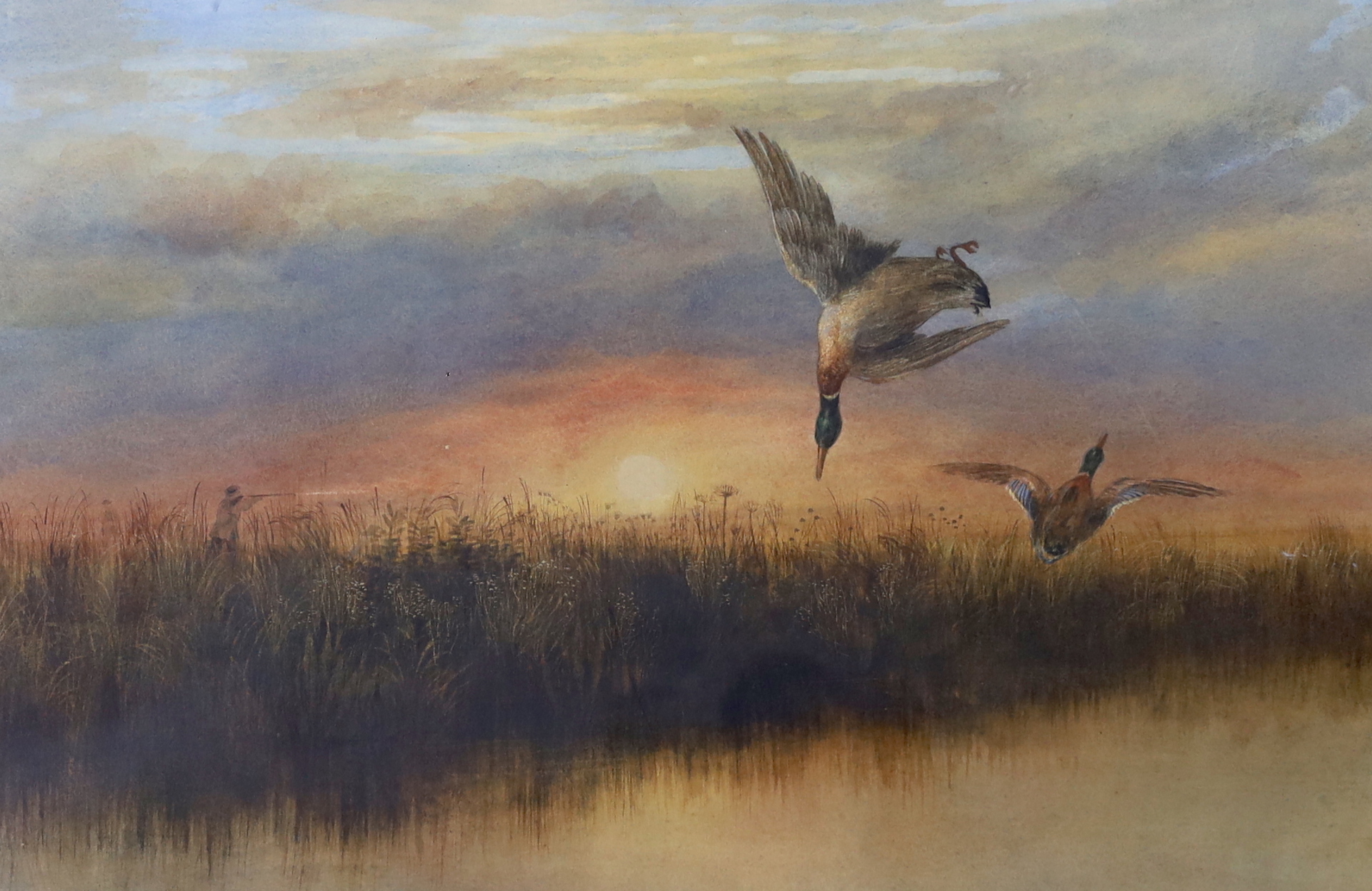 Andrew Nicoll (Irish, 1804-1886), watercolour, Ducks in flight over water, signed, 34 x 52cm